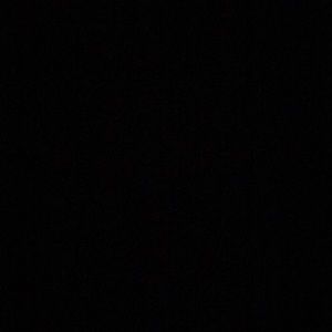 Meet your Posher, Ray